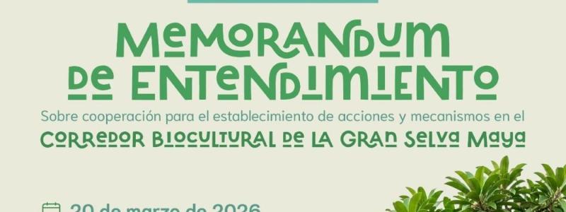Convocatoria 