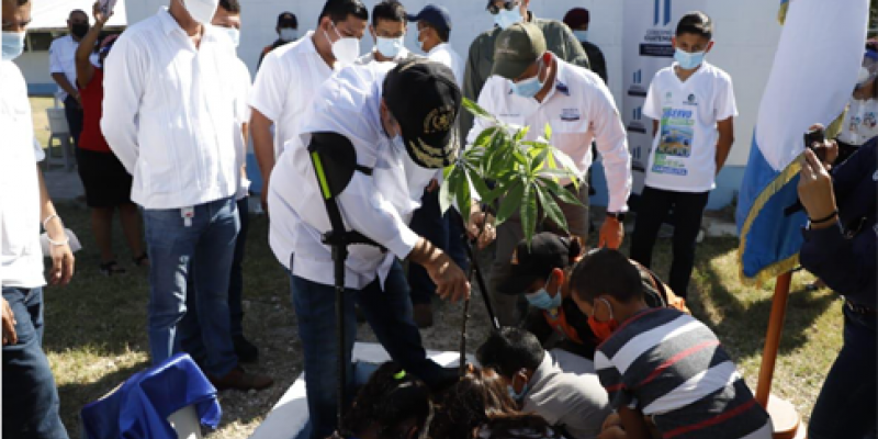 presidente plantando ceiba