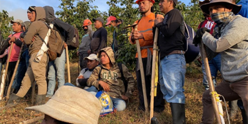 voluntarios