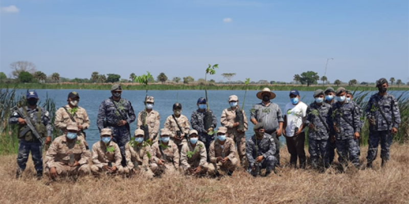 marn y ejercito