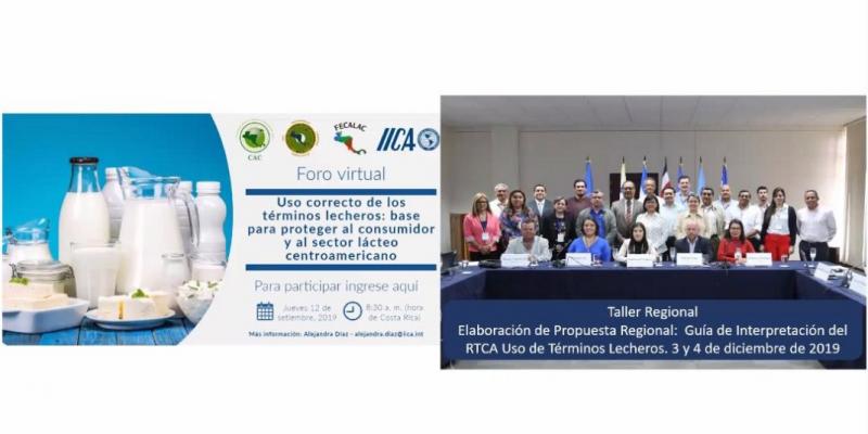 Taller regional para la elaboración de la guía de términos lecheros para Centroamérica