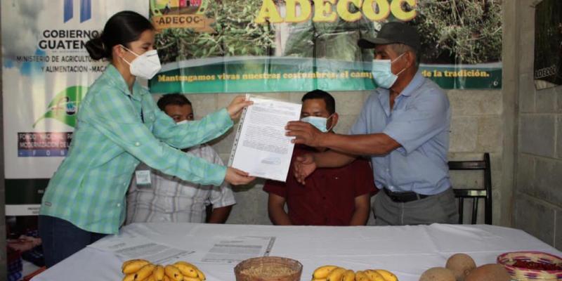 Asociaciones comunitarias impulsan el desarrollo agrícola en Alta Verapaz .