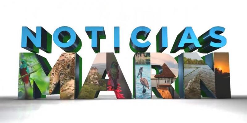 Noticias MARN