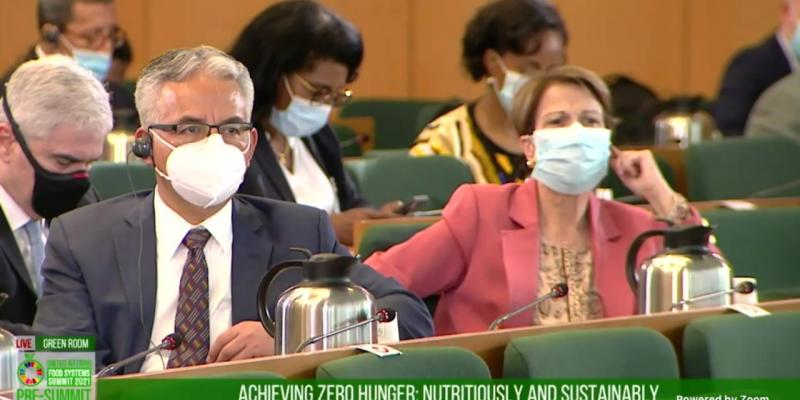 Ministro MAGA Precumbre sistemas alimentarios