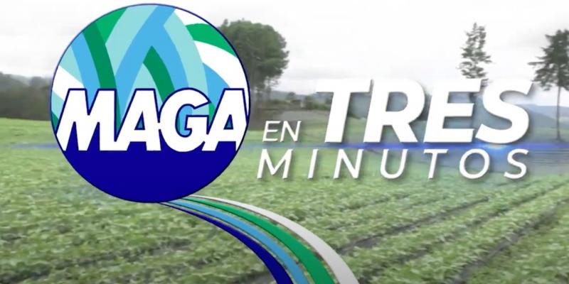 MAGA en Tres Minutos