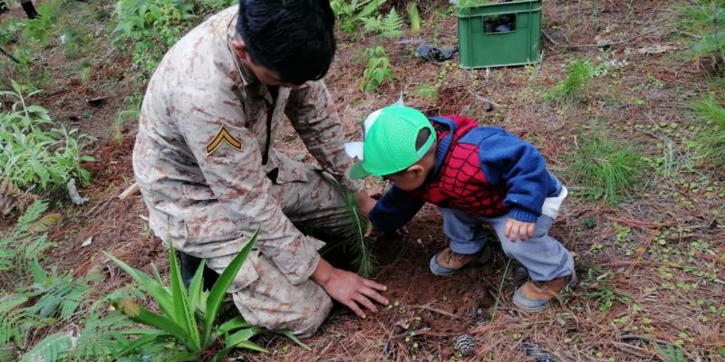 Reservista Militar reforestando.