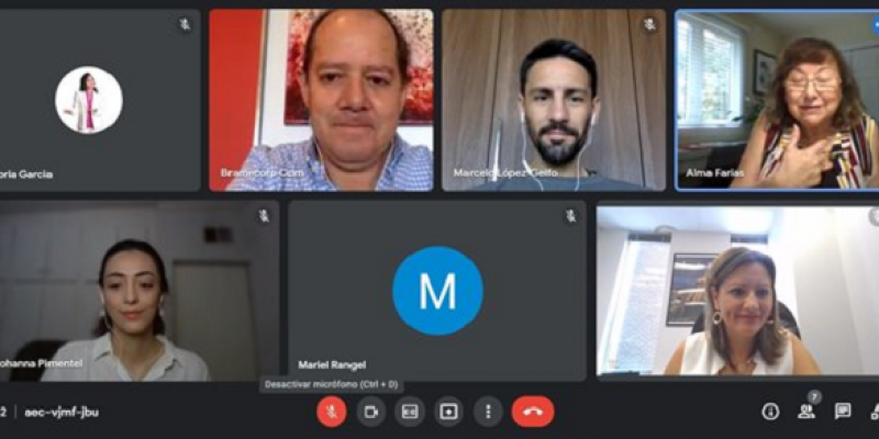 Reunión virtual