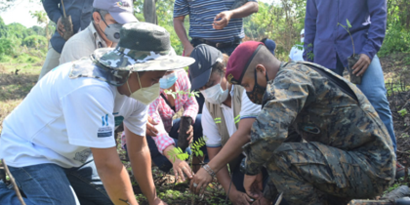 Siguen las jornadas de reforestación a nivel nacional
