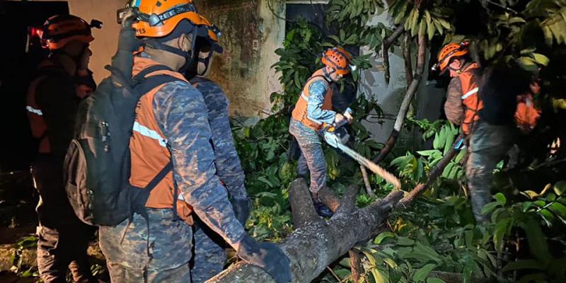 Caída de árbol sobre una vivienda ubicada en la colonia El Paraíso, Mazatenango, Suchitepéquez.