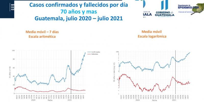 Grafica