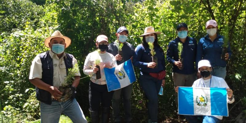 jornadas de reforestación se desarrollan en todo el país