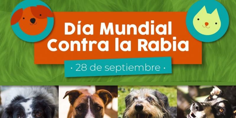 Rabia