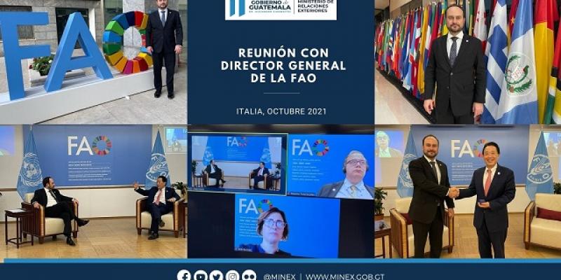 Pedro Brolo Vila, reunión con la FAO