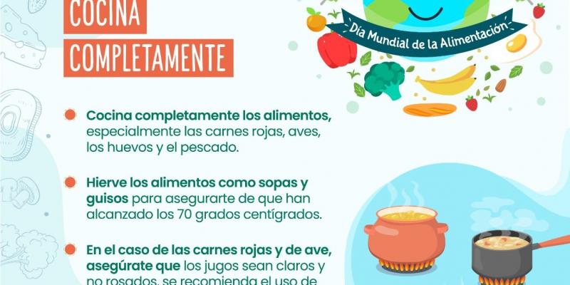Alimentación