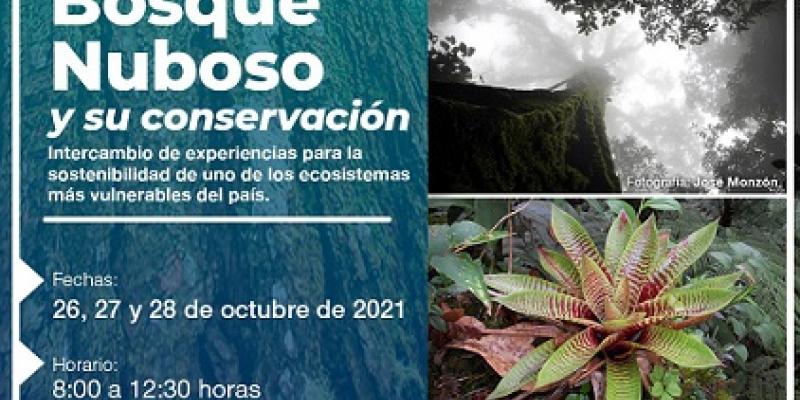 Bosque nuboso