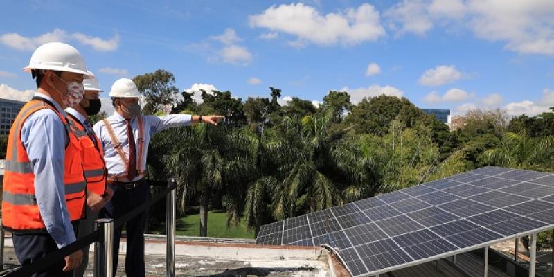 Paneles solares en el Minex