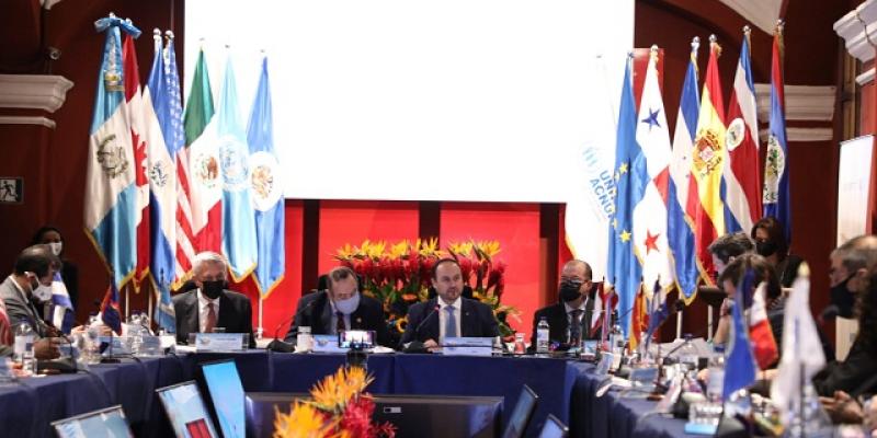 IV Reunión Anual del MIRPS