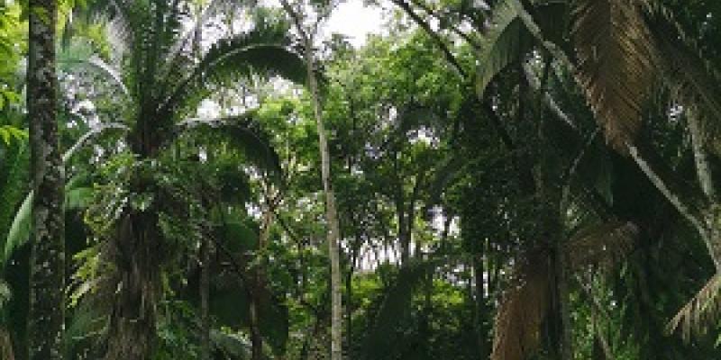sur del peten