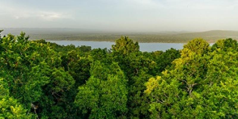 logros de CONAP