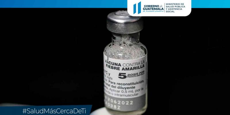 Fiebre amarilla 