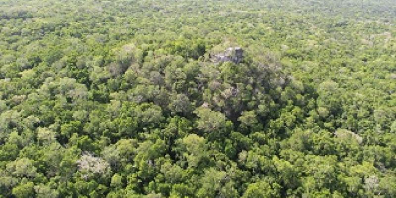 reserva de biosfera maya