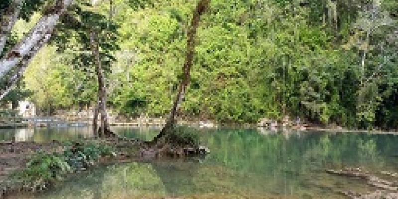 semuc