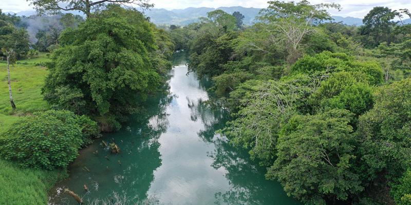 Los ríos son manantiales de vida natural 