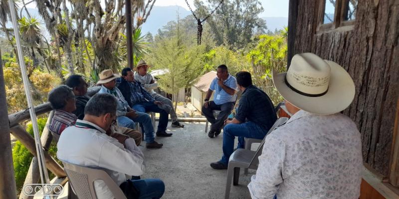 Impulsan formación forestal para la protección de los bosques
