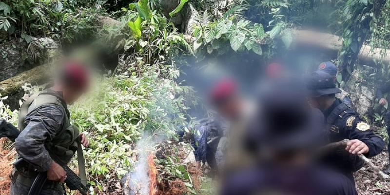 Ejército de Guatemala realiza operaciones de reconocimiento, búsqueda y rastreo de ilícitos al norte de la República.