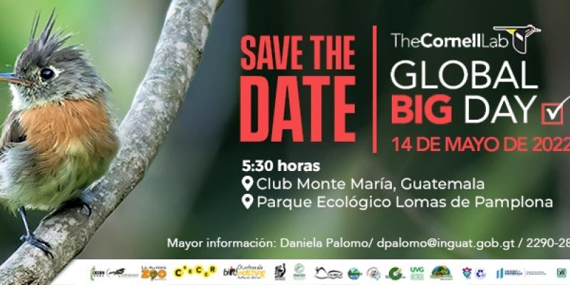 Global Big Day 14 mayo