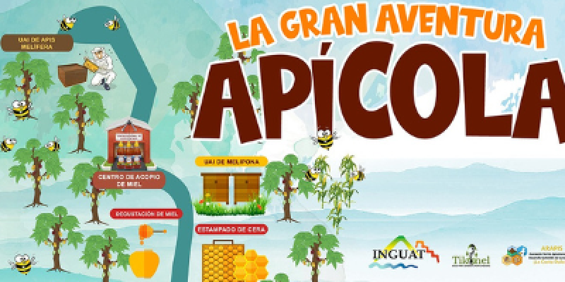 Apicola