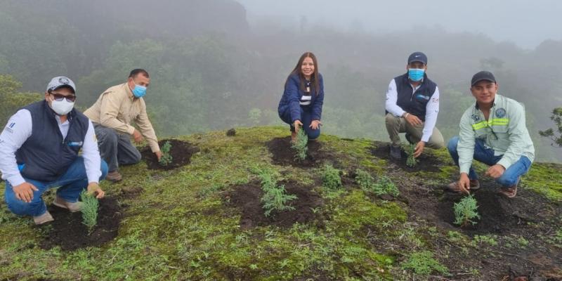Reforestan en Escuintla áreas de importancia para la recarga hídrica