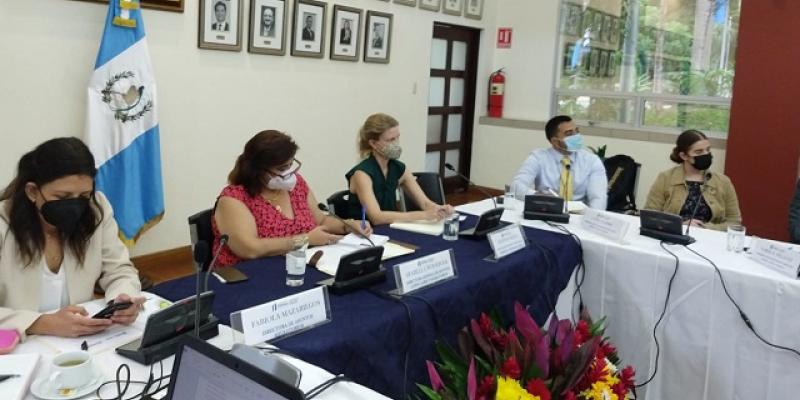 Minex participa en reunión intersectorial sobre protección a niñas, niños y adolescentes en contexto migratorio