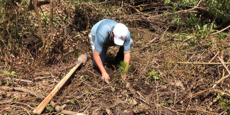 San Andrés Itzapa fortalece su cobertura forestal