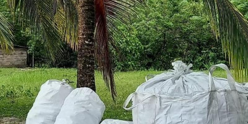 Personal del MARN y voluntarios limpian las playas de Livingston