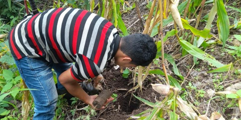 El Progreso recibe cinco mil 500 árboles más para fortalecer los bosques