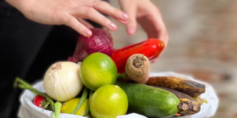 Secretaría de Seguridad Alimentaria y Nutricional 