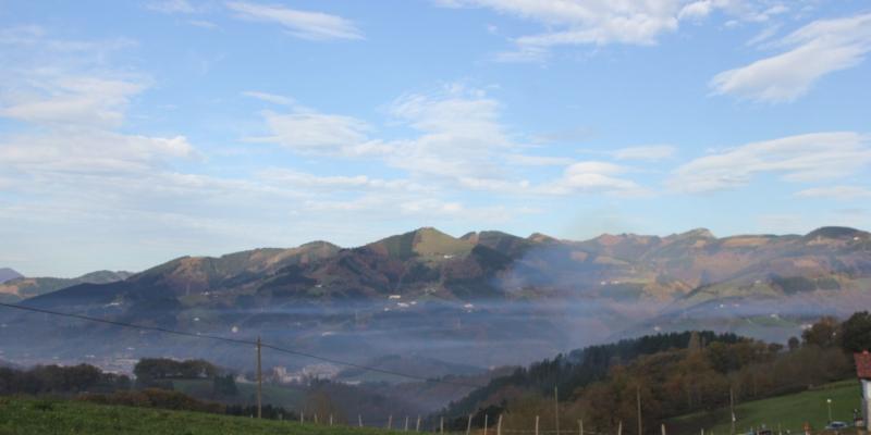 Época fría propicia para la producción de frutos deciduos 