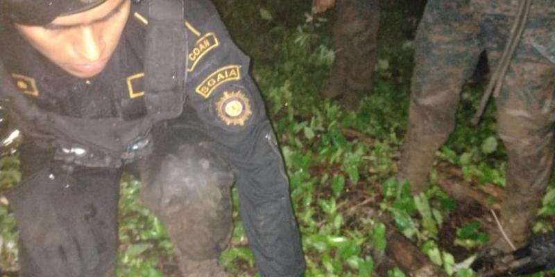 Avalúo de erradicación de plantaciones de arbustos de hoja de coca asciende a más de Q5 millones