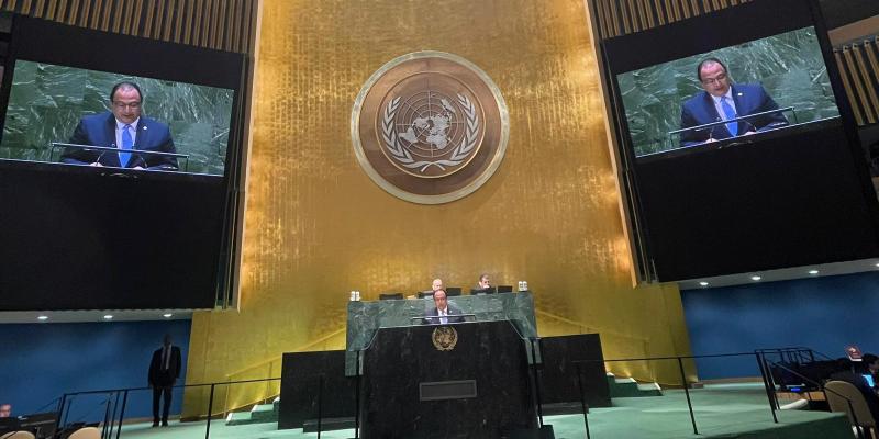 Discurso del canciller de Guatemala en la 11.ª Sesión Especial de Emergencia de la Asamblea General de las Naciones Unidas