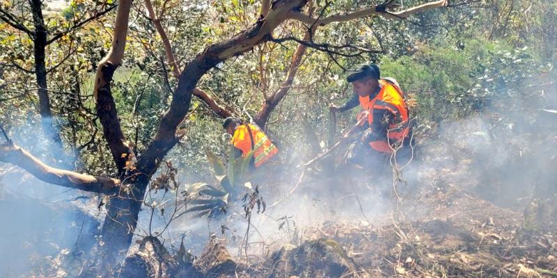 Ejército apoyó sofocamiento de incendios forestales en Chimaltenango, Escuintla y San Marcos.