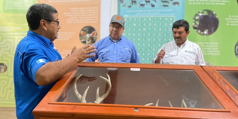MARN apoya esfuerzos para reducir el tráfico de animales y conservar los ecosistemas