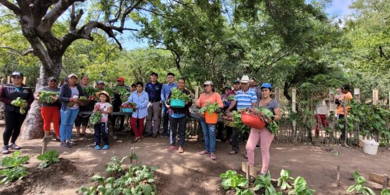 Huertos comunales 