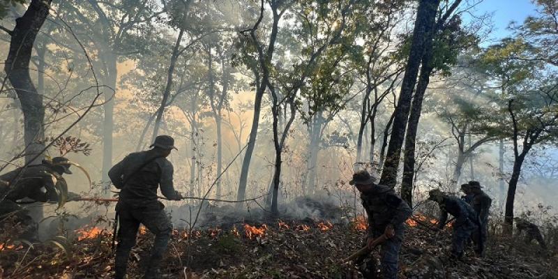 Ejército de Guatemala ha contribuido en el sofocamiento de 47 incendios forestales, durante la temporada 2022-2023.