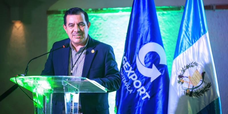 Guatemala fortalece la innovación en producción de aguacate para llegar a nuevos mercados