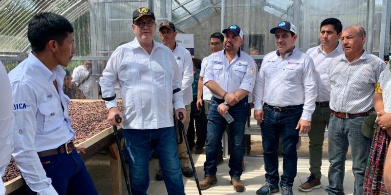 Fortalecen producción de cacao en Cobán, Alta Verapaz 