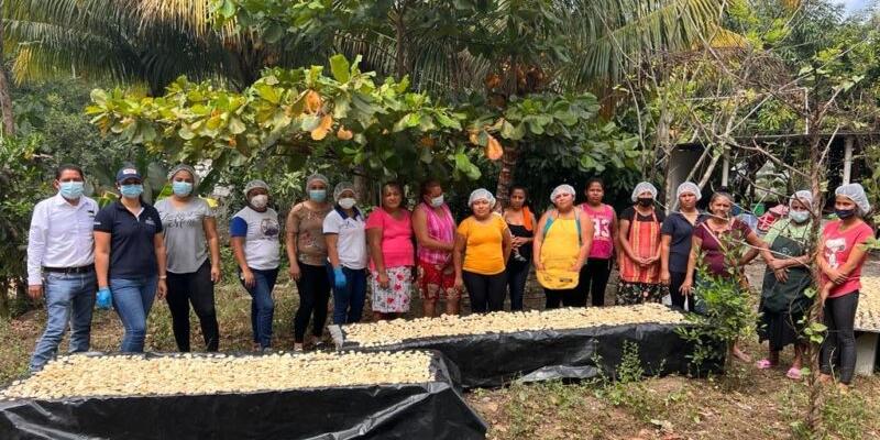 Promueven platillos hechos a base de harina de banano para combatir la malnutrición en niños