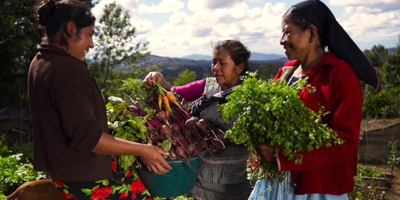 Instituciones de gobierno coordinan acciones para mitigar los efectos de “El Niño” y la canícula prolongada