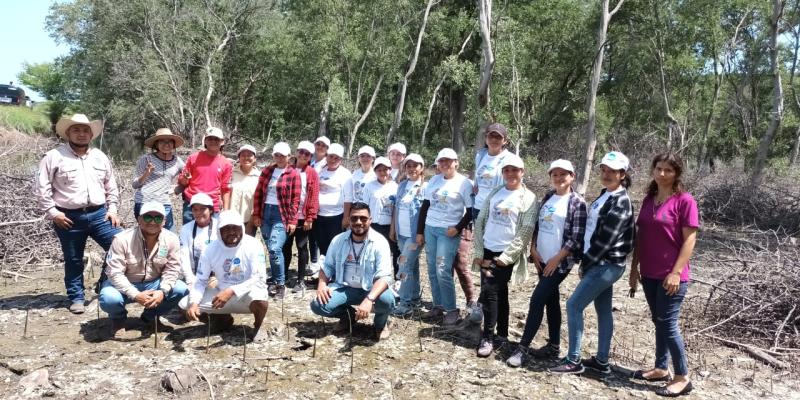 MARN celebra el Día de la Defensa del Ecosistema Manglar con actividades de reforestación