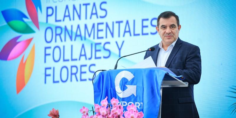 Guatemala busca incrementar sus exportaciones de ornamentales, flores y follajes a mercados estratégicos